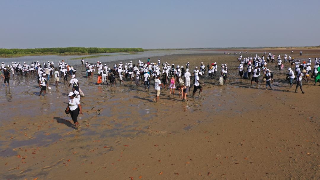 Campagne de reboisement pour la production de puits de carbone