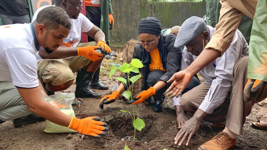 Reboisement dans la forêt de Dabompa 